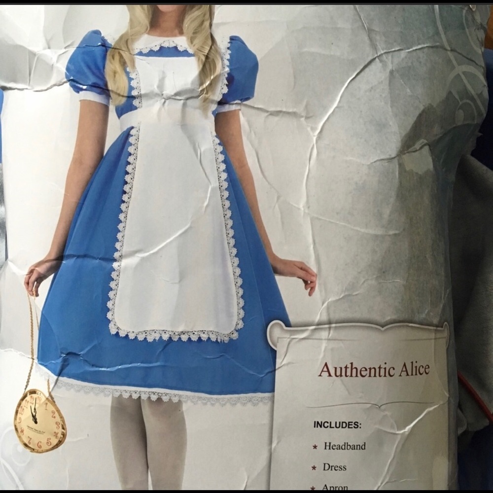 Alice in wonderland Halloween costume